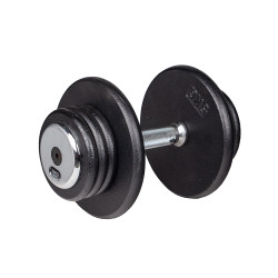 Гантель inSPORTline ProfiST 20 кг