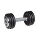 Гантель inSPORTline ProfiST 10 кг