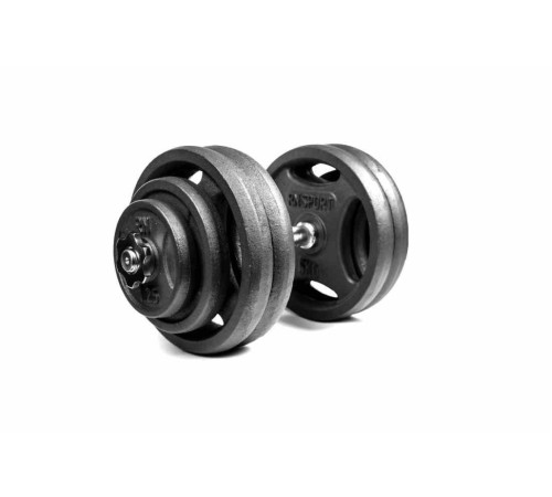Гантель розбірна металева RN-Sport RN_QTR28, 28 кг