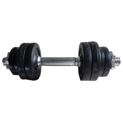 Регульована чавунна гантель 10,5 кг Spartan