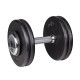 Гантель inSPORTline ProfiST 22,5 кг