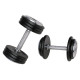 Гантель inSPORTline ProfiST 22,5 кг