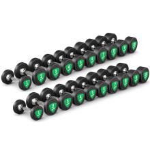 Гантелі прогумовані UpForm UFD-SET-110 2 х 1-10 кг