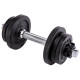 Гантель розбірна чавунна Body Sculpture BW 780LX1, 10 кг