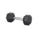 Гантель шестигранна inSPORTline Hexsteel 9 кг