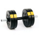 Гантелі розбірні Besport PowerPro, 2 х 11 кг