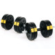 Гантелі розбірні Besport PowerPro, 2 х 11 кг