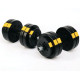 Гантелі розбірні Besport PowerPro, 2 х 13,5 кг