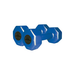 Гантелі InterAtletika ST560.1-1 1 кг