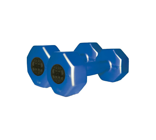Гантелі InterAtletika ST560.1-1 1 кг