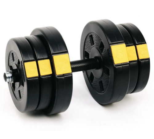 Гантелі розбірні Besport PowerPro, 2 х 21 кг