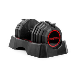 Гантелі набірні Gymstick Quicklock 22,5 кг