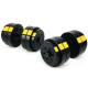 Гантелі розбірні Besport PowerPro, 2 х 26 кг