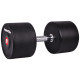 Гантель сталева inSPORTline Profi, 50 кг