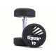 Гантелі прогумовані Tiguar TI-WH0002 1-10 кг