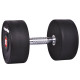 Гантель inSPORTline Pro 26 кг