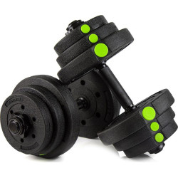 Гантелі бітумні Zipro 2 х 10 кг