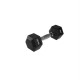 Гантель шестигранна HMS HEX PRO, 2 кг