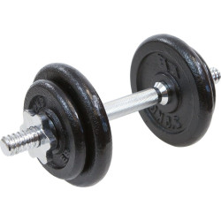 Гантель розбірна чавунна Eb Fit 1 х 10 кг