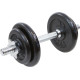 Гантель розбірна чавунна Eb Fit 1 х 10 кг