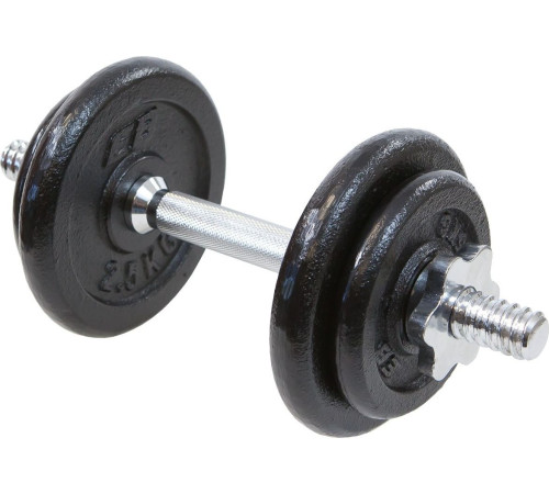 Гантель розбірна чавунна Eb Fit 1 х 10 кг Гантель розбірна чавунна Eb Fit 1 х 10 кг