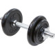 Гантель розбірна чавунна Eb Fit 1 х 10 кг
