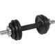 Гантель розбірна чавунна Eb Fit 1 х 7 кг