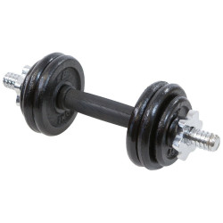 Гантель розбірна чавунна Eb Fit 7 кг