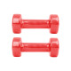 Гантелі вінілові inSPORTline Smoothbell, 2 x 1,5 кг