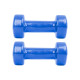 Гантелі вінілові inSPORTline Smoothbell, 2 x 2 кг