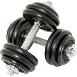 Гантелі розбірні чавунні Maxxiva D83766 2 x 15 кг