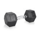 Гантель шестигранна inSPORTline Hexclusive 20 кг