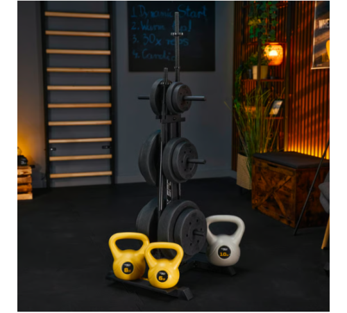 Стійка для дисків та грифів Trex Sport TX-065WR