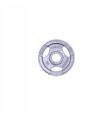 Диск чавунний inSPORTline Hamerton 1,25 кг