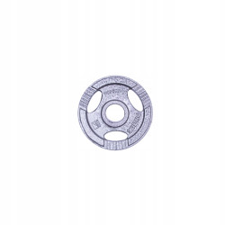 Диск чавунний inSPORTline Hamerton 1,25 кг