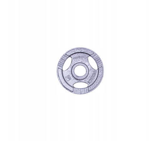 Диск чавунний inSPORTline Hamerton 1,25 кг Диск чавунний inSPORTline Hamerton 1,25 кг
