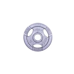 Диск чавунний inSPORTline Hamerton 2,5 кг