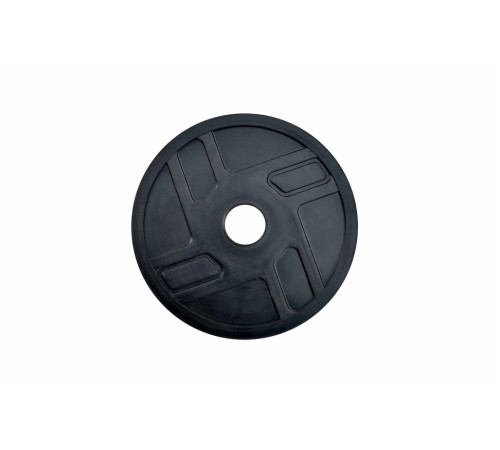 Диск RN-Sport 0,5 кг Диск RN-Sport 0,5 кг