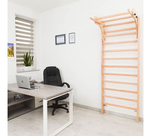 Шведська стіна з аксесуарами inSPORTline Steadyline 250 x 90 см Шведська стіна з аксесуарами inSPORTline Steadyline 250 x 90 см