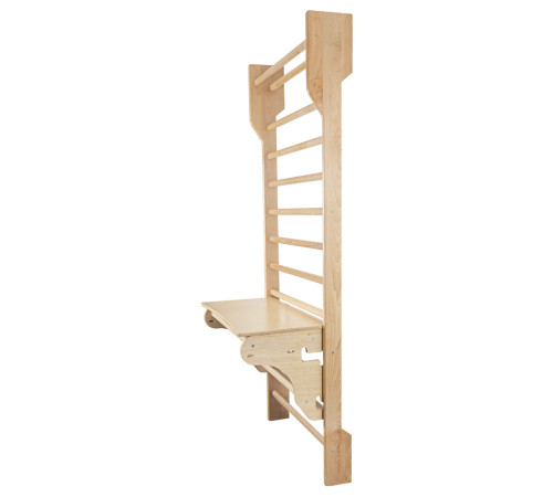 Шведська стіна з аксесуарами inSPORTline Steadyline 250 x 90 см Шведська стіна з аксесуарами inSPORTline Steadyline 250 x 90 см