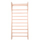 Шведська стіна inSPORTline Dremar 220 x 90 cm - lakierowana