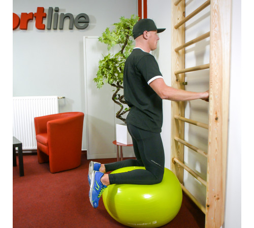 Шведська стіна inSPORTline Steadyline 195 x 65 см Шведська стіна inSPORTline Steadyline 195 x 65 см
