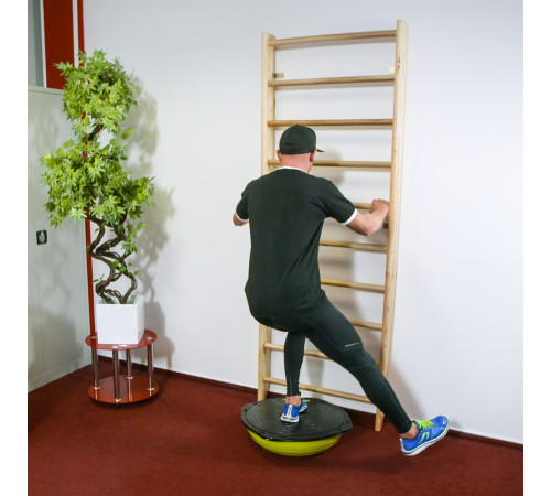 Шведська стіна inSPORTline Steadyline 240 х 80 см Шведська стіна inSPORTline Steadyline 240 х 80 см