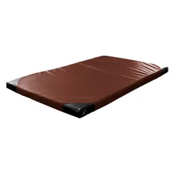 Мат гімнастичний inSPORTline Roshar T60, 200 x 120 x 10 см, коричневий