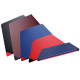 Килимок гімнастичний inSPORTline Roshar T60 200x120 см, червоний