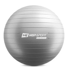 Фітбол Hop-Sport 65 см сріблястий + насос 