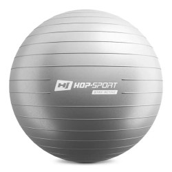 Фітбол Hop-Sport 65 см сріблястий + насос 
