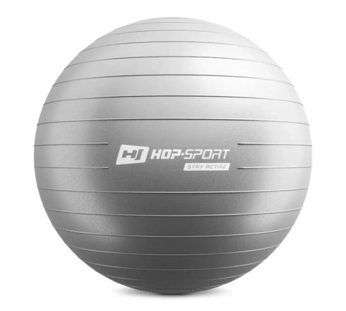 Фітбол Hop-Sport 65 см сріблястий + насос