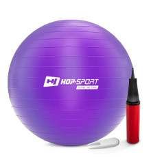 Фітбол Hop-Sport 65 см фіолетовий + насос
