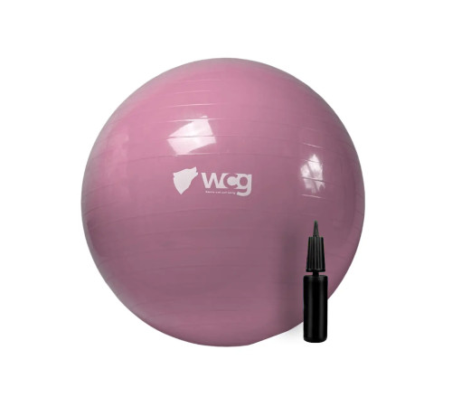 М'яч для фітнесу WCG 55 Anti-Burst 250 кг рожевий + насос